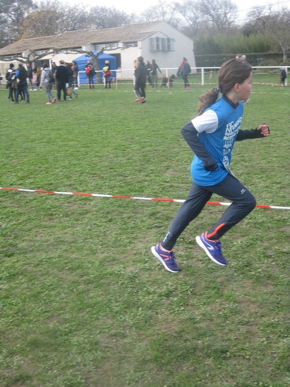 HIVERNALES 2020