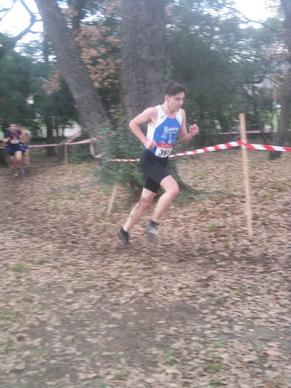HIVERNALES 2020