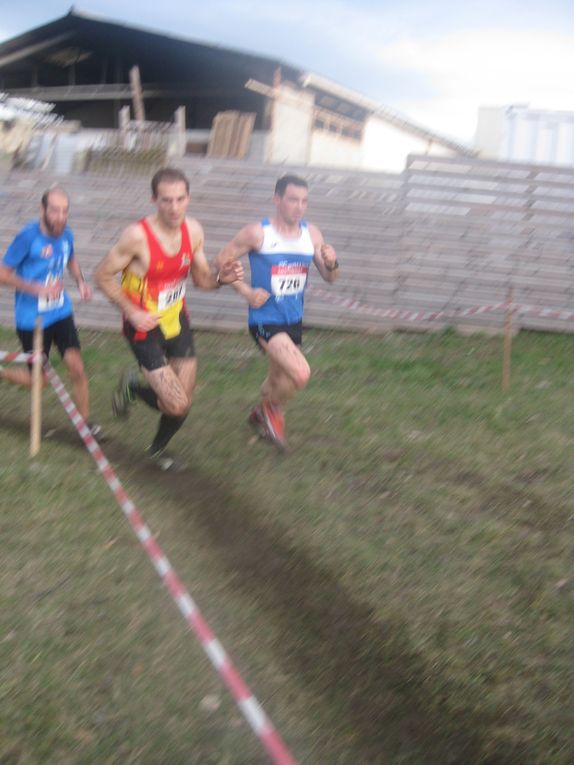 HIVERNALES 2020