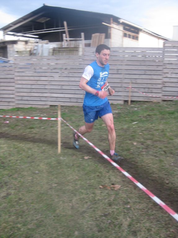 HIVERNALES 2020