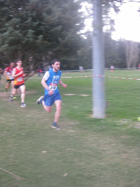 HIVERNALES 2020