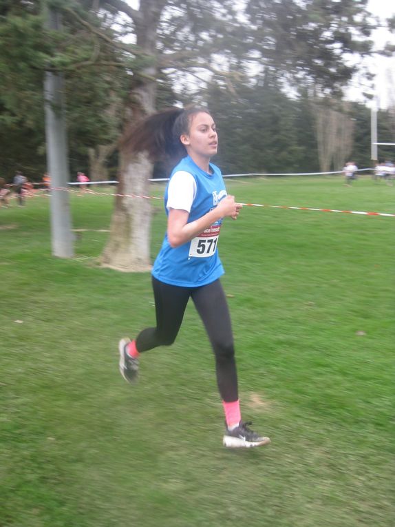 HIVERNALES 2020