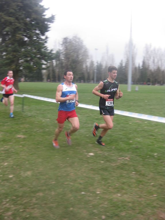 HIVERNALES 2020