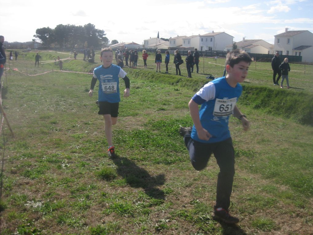 HIVERNALES 2020
