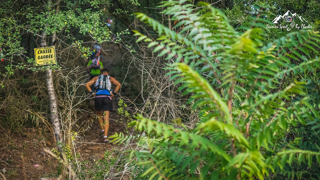Un sentier cévenol